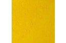 Выкраска масляной краски Winton Бледно-желтый кадмий (Cadmium yellow pale hue)
